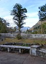 Back house patio and garden