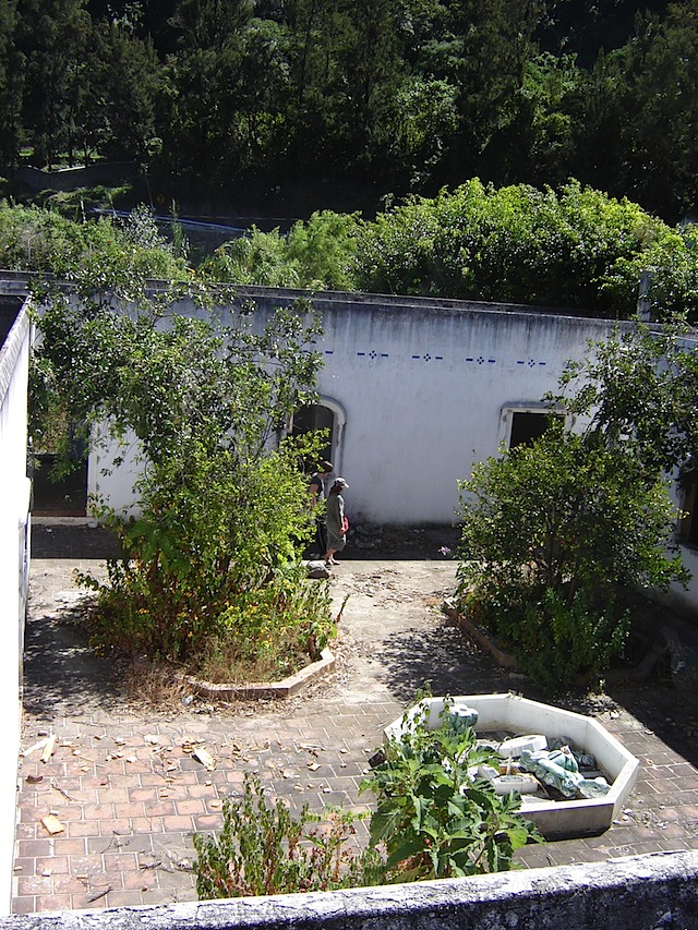 courtyard from room