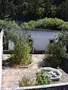 Courtyard from room