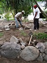 Preparing the rose garden