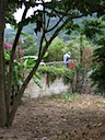 Installing security wire along river wall