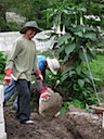 Selvin and Hardy begin the stone wall