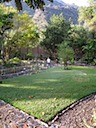 Rear yard after removing the rock.