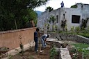 Planting roses below