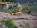 One cat stuck in the river