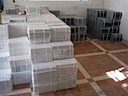 Main shipment of floor tile arrives